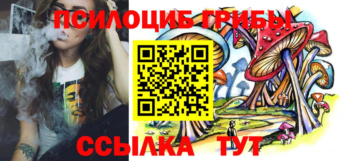 Псилоцибиновые грибы Cubensis Новоуральск